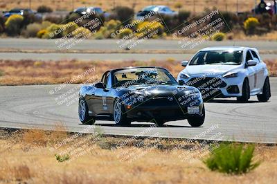 media/Nov-16-2024-Extreme Speed (Sat) [[6587d07cc4]]/Gold Group/Session 2 (Turns 3 and 5)/